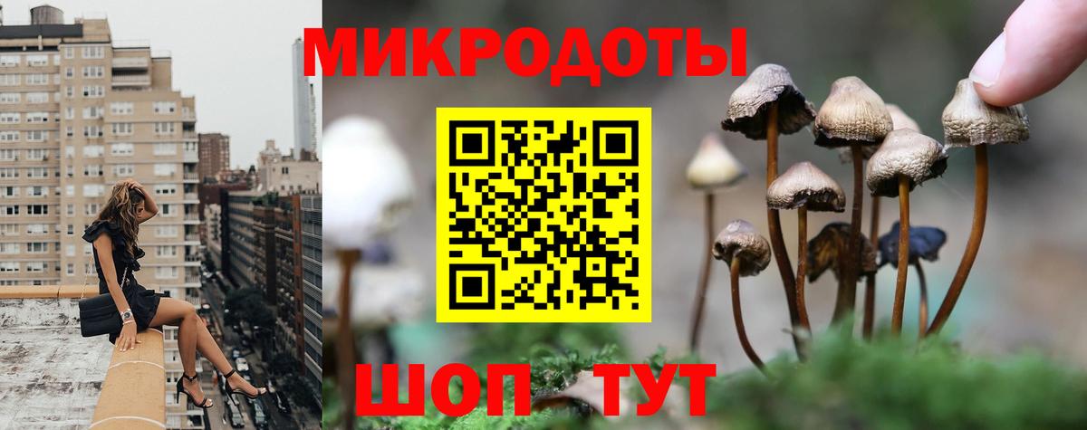 Псилоцибиновые грибы MAGIC MUSHROOMS  Вход с VPN  Кыштым 